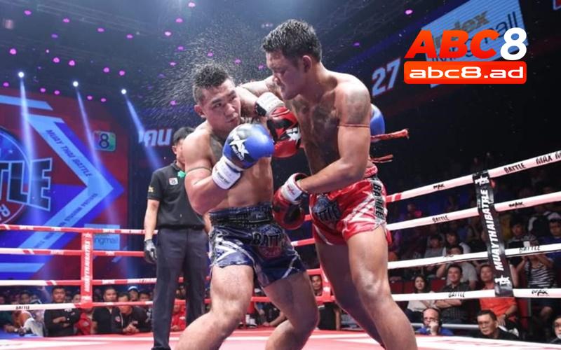 Hiểu rõ hơn về hình thức cá cược boxing tại ABC8