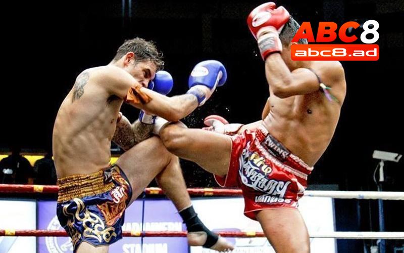 Như thế nào là cá cược boxing?