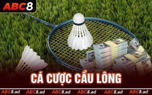 Cá Cược Cầu Lông - Cá Độ Online Mới Mẻ Cho Hội Cược Thủ ABC8